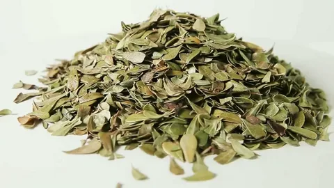 تصویر 3 از معرفی آویشن محلی + بهترین قیمت خرید